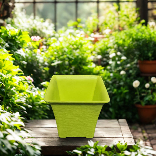2-Inch Premium Plastic Pots. Compact and Stylish for Saplings The Grow Kart