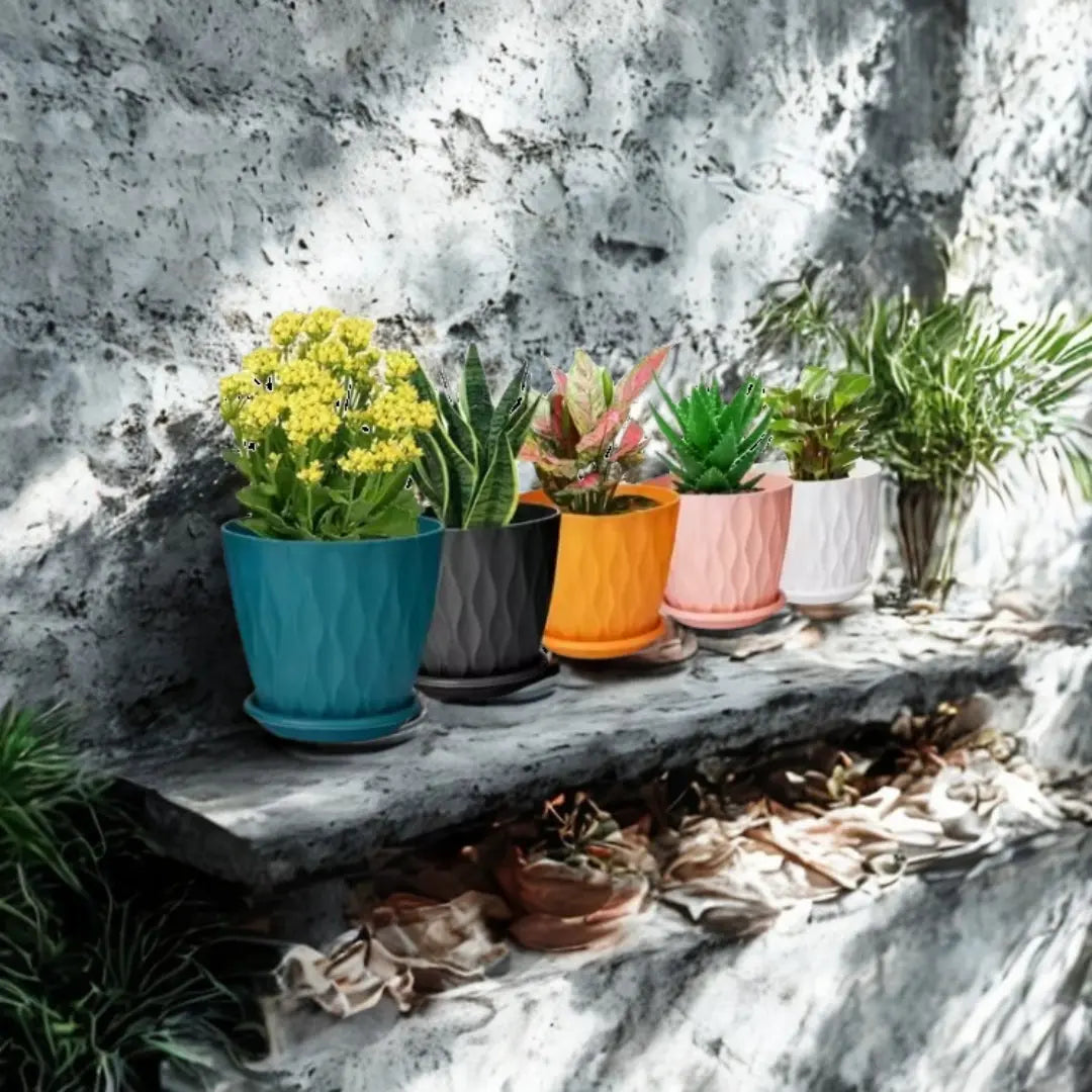 Pack of 5 Premium Plastic Flower Pots – Round, Multicolor, 10x10 cm – Ideal for Indoor & Outdoor Gardening The Grow Kart