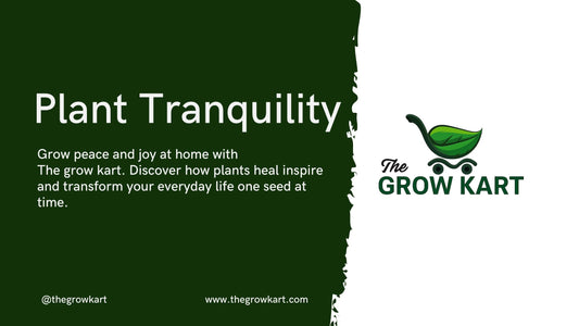 Rooted in Calm: Why Growing Plants Is the Slow Revolution We Need