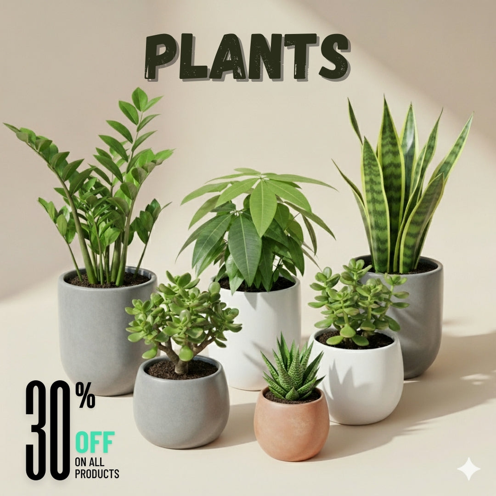 Plants