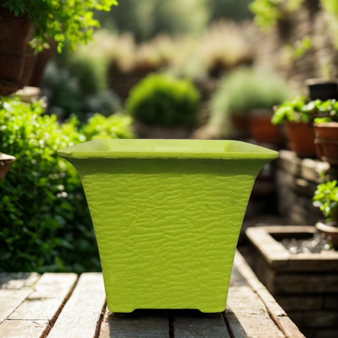 2-Inch Premium Plastic Pots. Compact and Stylish for Saplings The Grow Kart