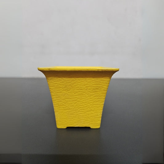 2-Inch Premium Plastic Pots. Compact and Stylish for Saplings The Grow Kart