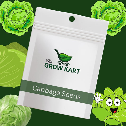 Premium Cabbage (10-Seeds) The Grow Kart