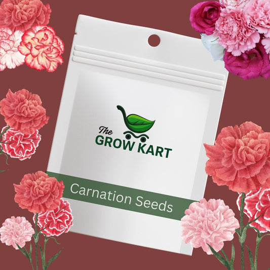Carnation (40 Seeds) The Grow Kart