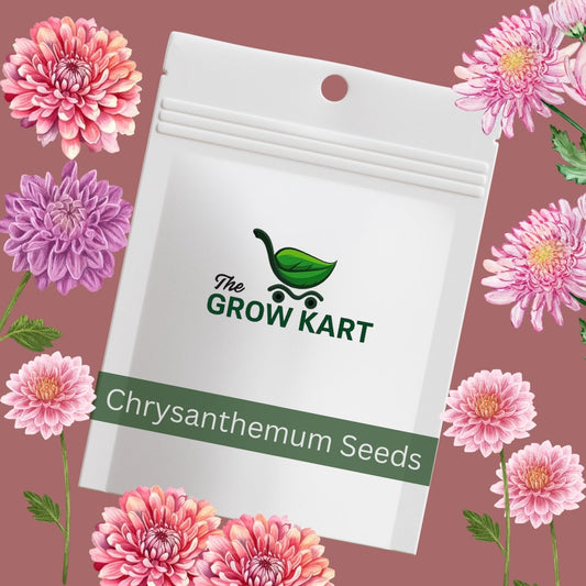 premium Chrysanthemum Mix Seeds The Grow Kart