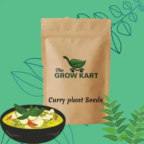 Curry Plant Seeds (5 Seeds) The Grow Kart