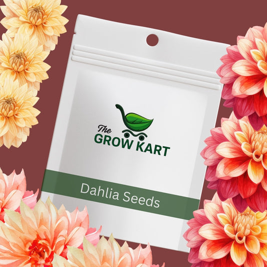 premium Dahlia Mix Seeds The Grow Kart