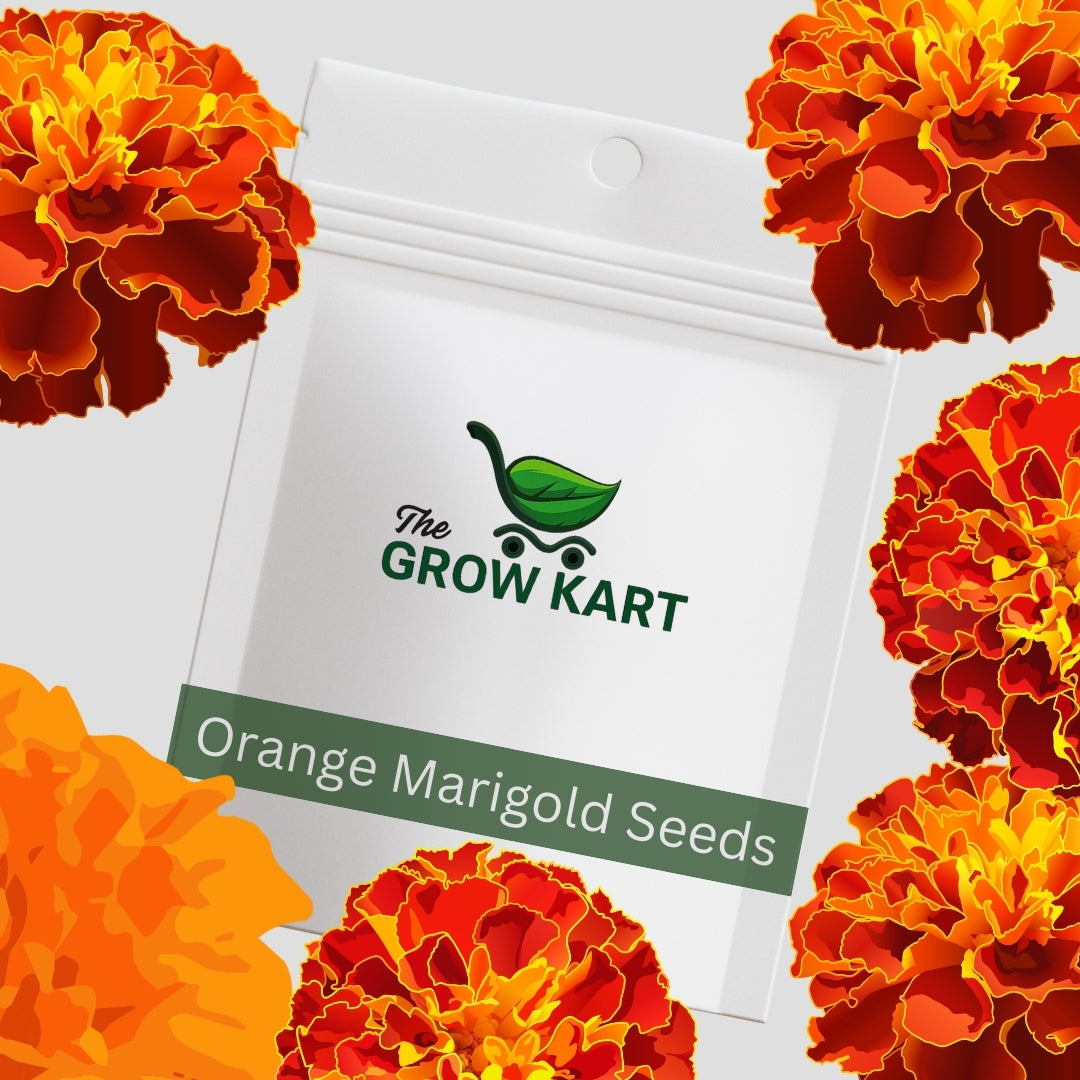 Orange Marigold Seeds The Grow Kart