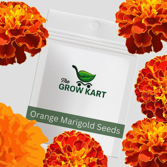 Orange Marigold Seeds The Grow Kart