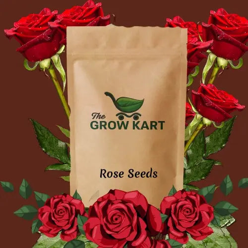 Rose Seeds ( 5 Seeds) The Grow Kart