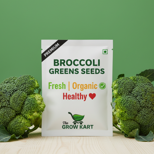 Premium Broccoli Greens (20 Seeds) The Grow Kart